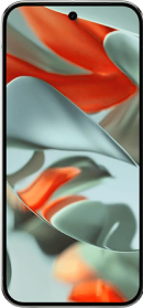 Google Pixel 9 XL