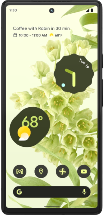 Google Pixel 6